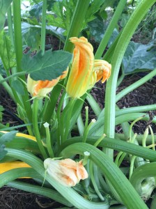 01323a0c2d0395a60fe847d09e4a379f6577d789d9